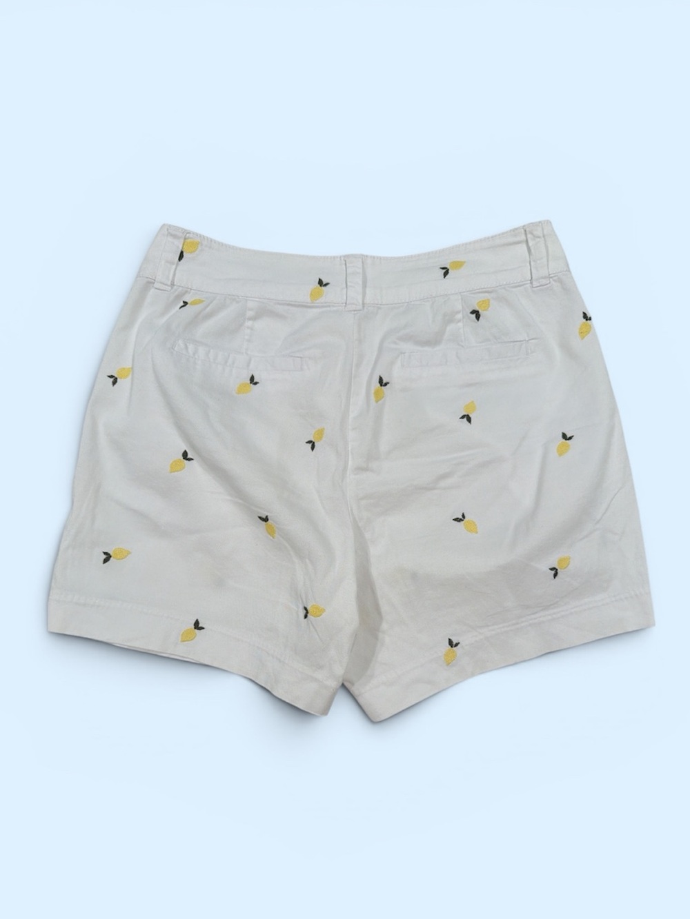 Embroidered Shorts - Picture 3 of 4